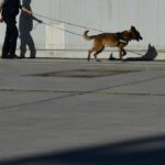 Με χαμηλές ταχύτητες η διάθεση του πετρελαίου θέρμανσης – Στις προσφορές το έχουν ρίξει οι εταιρείες