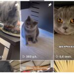 Super League: Τιμωρία 23 ημερών στον Λουτσέσκου για τα όσα έγιναν στο ΑΕΚ- ΠΑΟΚ