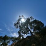 Πολυτεχνείο Κρήτης: 37 ακαδημαϊκοί, ανάμεσα στο κορυφαίο 2% των επιστημόνων παγκοσμίως