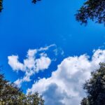 «Ο Κασσελάκης είναι τελειωμένος», ο οργισμένος Τσίπρας, τα πρόσωπα του Ανδρουλάκη και η χημεία Σαμαρά – Καραμανλή