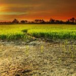 Σκέρτσος: H κυβέρνηση θα εξισώσει τον κατώτατο μισθό δημόσιου και ιδιωτικού τομέα