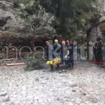 Τζόκερ 01/10/2024: Οι τυχεροί αριθμοί για τα 1.000.000 ευρώ