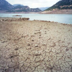 Ολυμπιακός: Εννέα παίκτες των ερυθρολεύκων πήγαν για ατομικό στον Ρέντη παρά το ρεπό