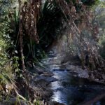 Ο ΠΑΟΚ είναι δυνατός και βρήκε νέο ηγέτη για την άμυνά του