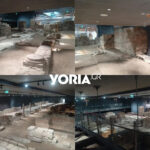 Αυτός είναι ο Ρουί Βιτόρια που αναλαμβάνει τον Παναθηναϊκό, το “ελληνικό” παρελθόν του