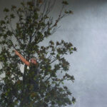 Πέθανε ο ηθοποιός Λευτέρης Παπαμιχαήλ