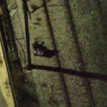 ΗΠΑ: O Ομπάμα σε εκστρατεία υπέρ της Χάρις μέχρι τις εκλογές της 5ης Νοεμβρίου