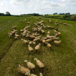 Ντόρτμουντ: Ενεργοποίησε τη ρήτρα αγοράς του Γιαν Κόουτο από τη Σίτι ύψους 30 εκατομμυρίων