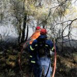 Ηλιόπουλος: Δείχνουν το επίπεδο και τη νοοτροπία τους Παναγιώτης Κουμάνταρος