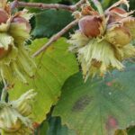 «Ανάσα» για την ελληνική οικονομία η ταχύτερη μείωση των επιτοκίων της ΕΚΤ