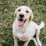 Ραντεβού στην Αθήνα για τους μεγάλους «παίκτες» της αγοράς αέριου από ΗΠΑ, ΕΕ – Στο επίκεντρο η απεξάρτηση από τη Ρωσία