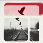 Ροντινέι: Ο καλύτερος εξτρέμ του Ολυμπιακού