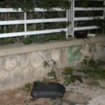 «Καμπανάκι» από τον πρόεδρο της Ταϊβάν στην Κίνα – «Δεν έχει κανένα δικαίωμα να μας εκπροσωπεί»