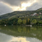 Μάντζιος: “Έχουμε πράγματα να βελτιώσουμε, στόχος του Άρη το Κύπελλο”