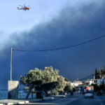 Τράπεζα Πειραιώς: Πώς θα κινηθούν τα commodities σε 8 αγροτικά προϊόντα