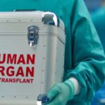 Σταϊκούρας: Μειώθηκε αισθητά η εισιτηριοδιαφυγή – 950 νέα λεωφορεία έως το τέλος καλοκαιριού του 2025