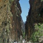 Ligue 1: Η Λιλ έδωσε συνέχεια στη μεγάλη νίκη επί της Ρεάλ, διπλό κορυφής για τη Μονακό, όργια Νταβιτασβίλι στη Σεντ Ετιέν