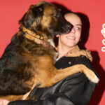 Φωτιά τώρα κοντά στη Μονή Βροντησίου στην Κρήτη