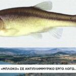 Ζωή Ράπτη: Στο υπουργείο Ανάπτυξης στηρίζουμε έμπρακτα επενδυτικές πρωτοβουλίες που προωθούν την έρευνα