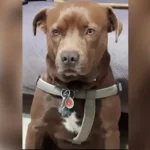 Κολυδάς για κακοκαιρία Alexandros: Στη θάλασσα έπεσε ο μεγαλύτερος όγκος νερού – Πότε υποχωρεί το κύμα κακοκαιρίας