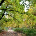 Αγρίνιο: Θρήνος στην κηδεία της 18χρονης Χαριτίνης