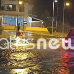 SOS για τον ιό που θα μπορούσε να προκαλέσει την επόμενη πανδημία – Διευκρινίσεις από την ιολόγο Θεοδώρα Χατζηιωάννου