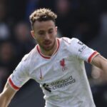 Ήρθε από την Ολλανδία για να τρέξει στον Μαραθώνιο και του έκλεψαν τη φουστανέλα