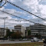 Ολυμπιακός: Θέλει τρόπο, όχι κόπο και ο Μεντιλίμπαρ, οι Ελ Κααμπί, Μαρτίνς και η παρέα τους σαρώνουν στο ανοιχτό γήπεδο