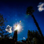 Κόμμα φιλικό προς το επιχειρείν ετοιμάζει ο Κασσελάκης – Ποιο είναι το μερίδιο συμμετοχής του Τσίπρα στην εικόνα του ΣΥΡΙΖΑ;