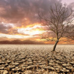 Σπόρτινγκ: Ο Ζοάο Περέιρα είναι επίσημα ο αντικαταστάτης του Αμορίμ στον πάγκο