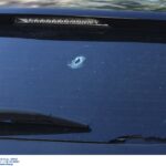 Η “Κίνηση Μελών Παναθηναϊκού Αθλητικού Ομίλου” ζητά έκτακτη ΓΣ στον Ερασιτέχνη με θέμα το αν θα καταγγελθεί η σύμβαση για τον Βοτανικό