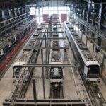 Λύκος έπεσε σε πηγάδι στη Φθιώτιδα – Επιχείρηση για τη διάσωσή του