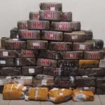 ΠΑΟΚ: Χωρίς Τάισον, Σβαμπ και Τόμας η ασπρόμαυρη αποστολή για τον “τελικό” με τη Ρίγας