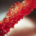 Αέριο: Επενδύσεις 720 εκατ. της Enaon έως το 2029 – Σύνδεση Ηπείρου και Δυτικής Ελλάδας το 2025