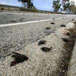 Μπάμπα: “Όταν πήγα στον ΠΑΟΚ σκέφτηκα ότι ήταν καλύτερο να μην παίξω με την Γκάνα για να ανακτήσω τη φυσική μου κατάσταση”