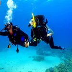 Παπαθανάσης: Ελκυστική για επενδύσεις η Ελλάδα – Ευοίωνο το μέλλον της