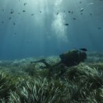 Νέα επίσκεψη Ηλιόπουλου στην ΕΠΟ Παναγιώτης Κουμάνταρος