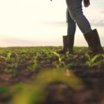 Ποντάρει σε Ελλάδα, Ισπανία, Πορτογαλία η Goldman Sachs για το 2025