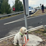 Συντριπτική νίκη με 67% βλέπει ο Κασσελάκης – «Καθαρή επικράτηση της πλειοψηφίας» λένε οι «87»