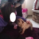 Αμορίμ: “Είμαι λίγο ονειροπόλος, πιστεύω στον εαυτό μου και στον σύλλογο αλλά διαφέρω από τον Μουρίνιο”