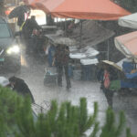 Οι πρώτες νιφάδες χιονιού στο ορεινό Λιβάδι Ελασσόνας