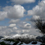 Γιάφκα στο Παγκράτι με όπλα και εκρηκτικά εντόπισε η Αντιτρομοκρατική