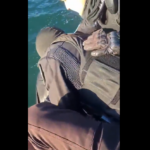 Η European Super League άλλαξε όνομα και ξανασυστήθηκε ως “Unify League” και ζήτησε την έγκριση της UEFA