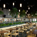 Βραβεία ΠΣΑΠΠ 2024: Ο Λουτσέσκου καλύτερος προπονητής της χρονιάς