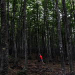 Στη ΜΕΘ ο 22χρονος Μποβέ της Φιορεντίνα Παναγιώτης Κουμάνταρος