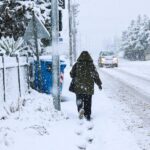 Φιορεντίνα: Ο Μπόβε γνώρισε την αποθέωση στην επιστροφή του στο Αρτέμιο Φράνκι