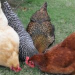 Χρηματιστήριο: Κλείσιμο με οριακή άνοδο 0,05%