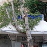 Ολυμπιακός: Η καλημέρα και τα χρόνια πολλά του Ροντινέι στον Ντόι α λα ελληνικά