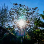 Φυσικό Aέριο: Άλμα 45% στις ευρωπαϊκές τιμές φέτος – Δύσκολη αρχή το 2025