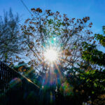 «Εξοικονομώ 2025»: Πόσο συμφέρει το πρόγραμμα τους πολίτες – Ενεργειακός επιθεωρητής αναλύει με ποσά